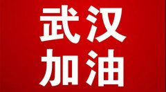 思昂资讯‖心系武汉 抗击疫情 思昂在行动！