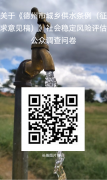 思昂稳评║事关城乡供水，期待您的宝贵意见